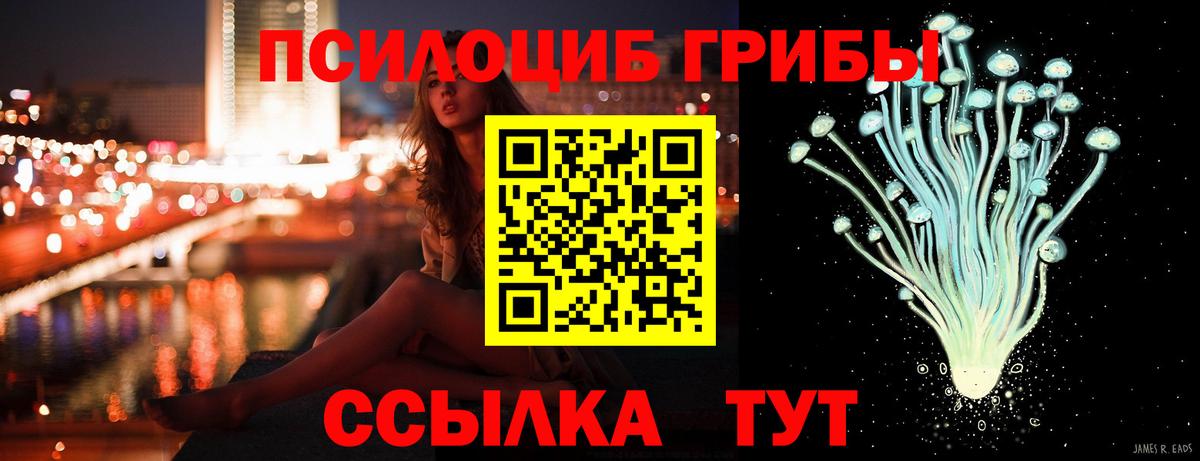 Псилоцибиновые грибы GOLDEN TEACHER Отрадный