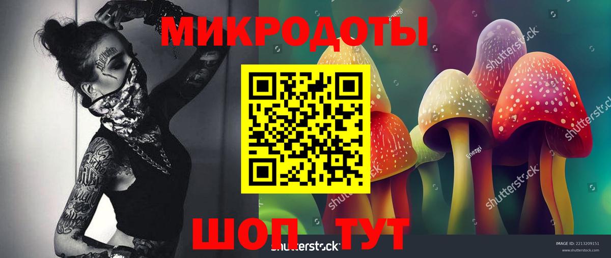 Псилоцибиновые грибы MAGIC MUSHROOMS  Вход с VPN  Отрадный 