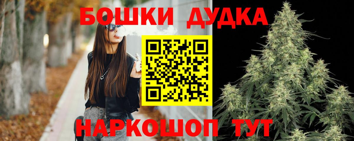 Канабис планчик Отрадный